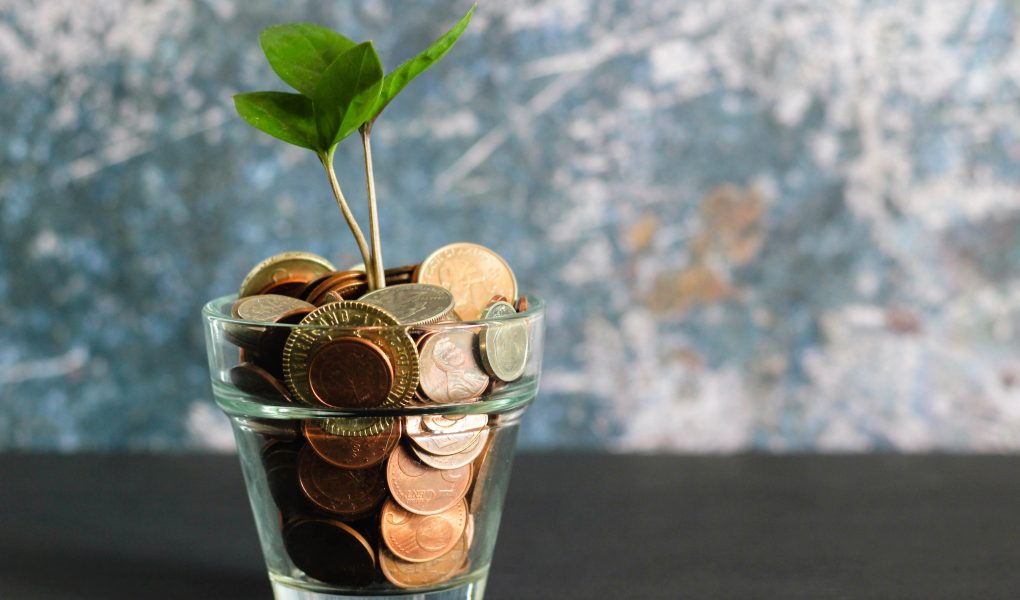 A plant growing from a coin flower pot